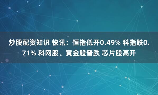 炒股配资知识 快讯：恒指低开0.49% 科指跌0.71% 科网股、黄金股普跌 芯片股高开